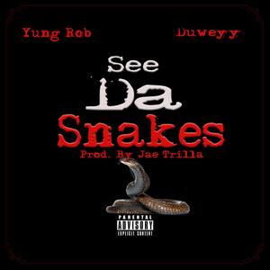 See Da Snakes (feat. Duweyy) [Explicit]