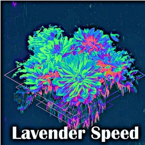 Lavender Speed