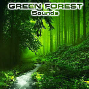 Green Forest Sounds