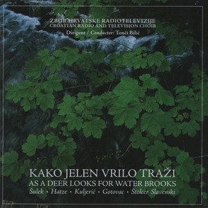 Smiješno Čudo (Live)