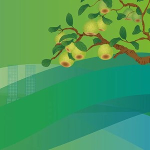 盖永政 - 我在莱阳等着你 - 伴奏