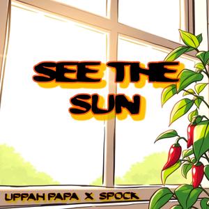 See the Sun