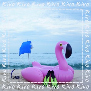 프레쉬 맨 (Fresh Man) (Fresh Man)