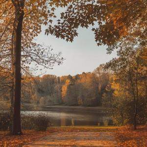 SS NVR FAKE (Explicit)