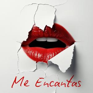 Me Encantas (Explicit)