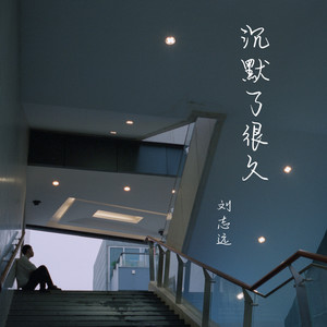 刘至远 - 沉默了很久