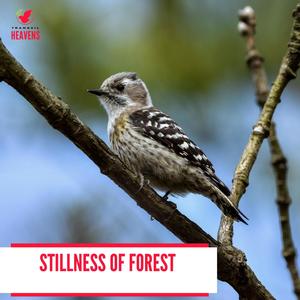 Ecstatic Song of the Ibis