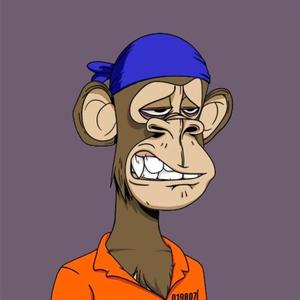 El Motin (feat. El Shady) (Explicit)