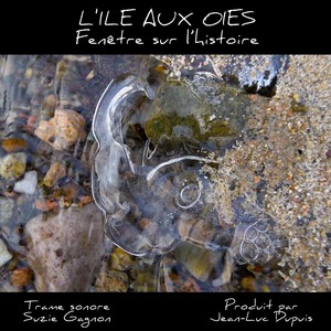 L'ile-aux-oies