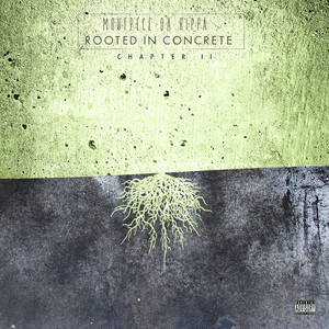 Rooted in Concrete, Chapter 2 (Explicit)