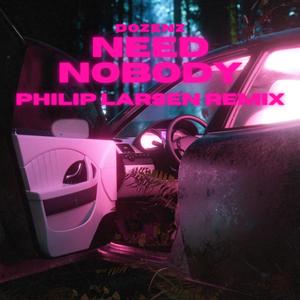 Need Nobody (Philip Larsen Remix)