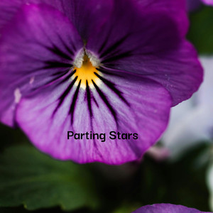 Parting Stars