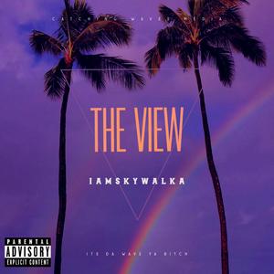 The View (Explicit)