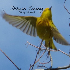 Dawn Song