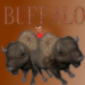 Buffalo (feat. Erlando Bloom & Wilem)