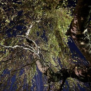 _rectify (feat. ilyakame) (Explicit)