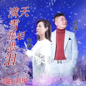 满天雪花相思泪 (舞曲版)
