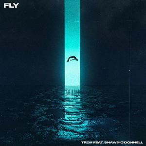 Fly (feat. Shawn O'Donnell)