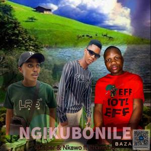 Ngikubonile (feat. Chamane) [Nkawo Remix Special Version] [Explicit]