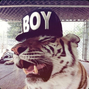 CALI (Al-Remixtopia|Explicit)