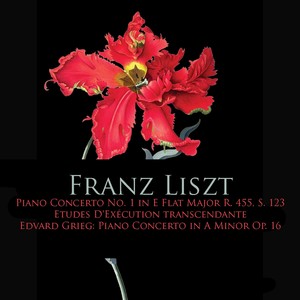 Piano Concerto in A Minor, Op. 16 - I. Allegro molto moderato