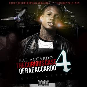 The Curious Case of Rae Accardo 4