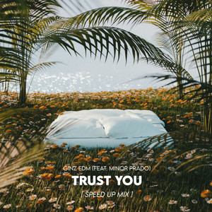 Trust You (Speed Up Mix)