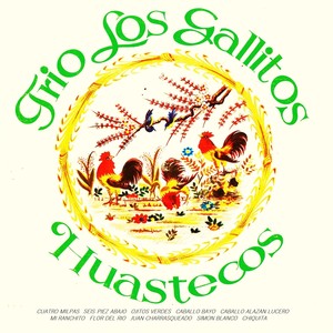 Trío Los Gallitos Huastecos