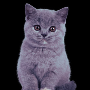 Best Friends (Instrumental)