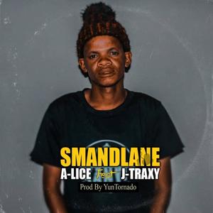 Smandlane