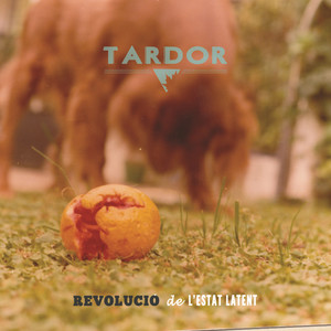 Bona Nit I Bona Sort