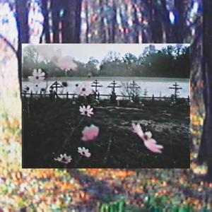 tu sangre (Explicit)