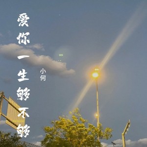 爱你一生够不够封面