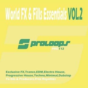 Patrick Seeker - World FX & Fills Essentials 2 128 (Tool 18)