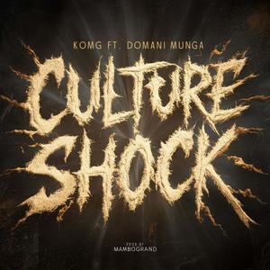 Culture Shock (feat. Domani Munga) (Explicit)