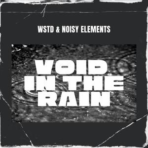 Void In The Rain (Radio Edit)