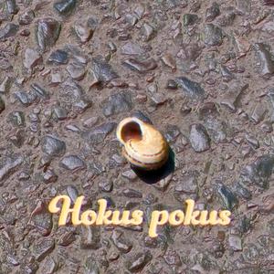 Hokus pokus