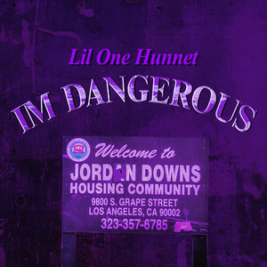 I'm Dangerous (Explicit)