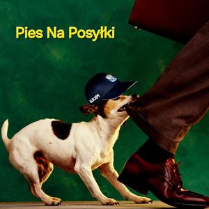 Pies Na Posyłki (Explicit)