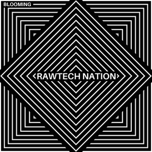 Internal Conflict (Original Mix)