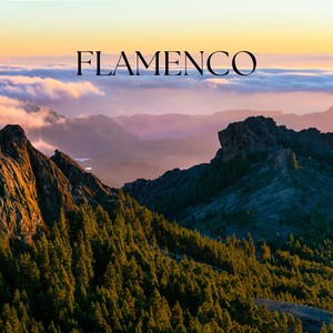 Flamenco