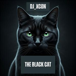 The Black Cat