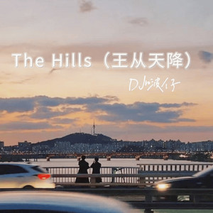 The Hills (王从天降)