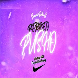 PERREO PUSHO 2 (feat. EL CHINO DDJ)