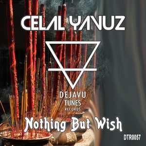 Nothing but Wish (Progressive House Mix)
