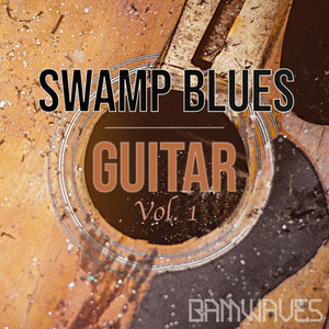 Swampy Blues Guitar, Vol. 1