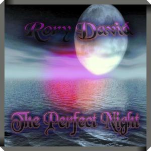 The Perfect Night (Explicit)