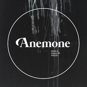 Heliris (Xhin Remix)