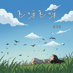 飞呀飞呀