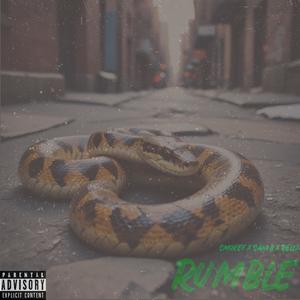 Rumble (feat. Sani b & Smokey) (Explicit)